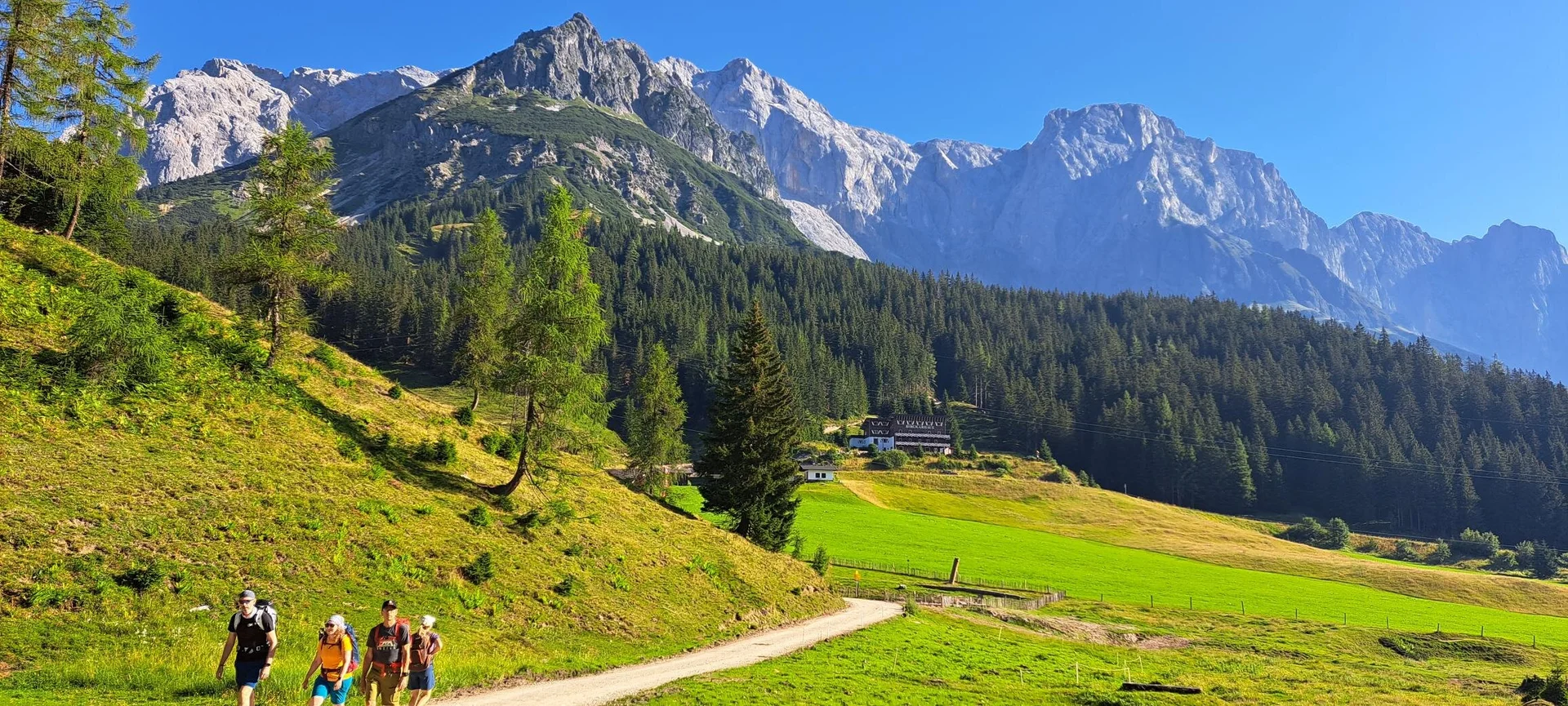 Auf dem Almenweg | © privat