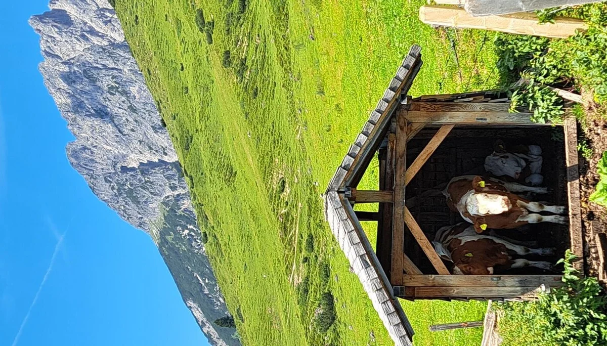 am Almenweg | © privat