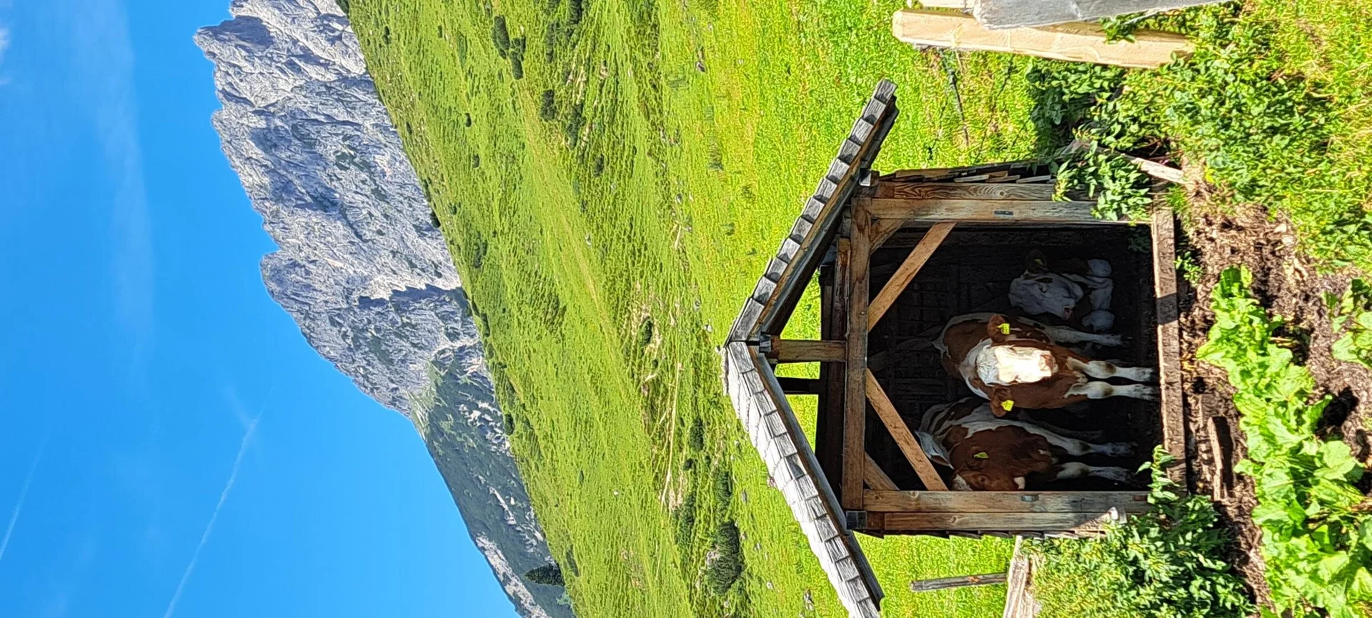 am Almenweg | © privat