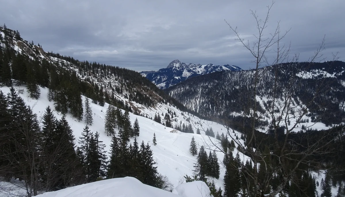 Blick über die Weite zur Schellenbergalm, hinten Wendelstein | © Markus Hammer