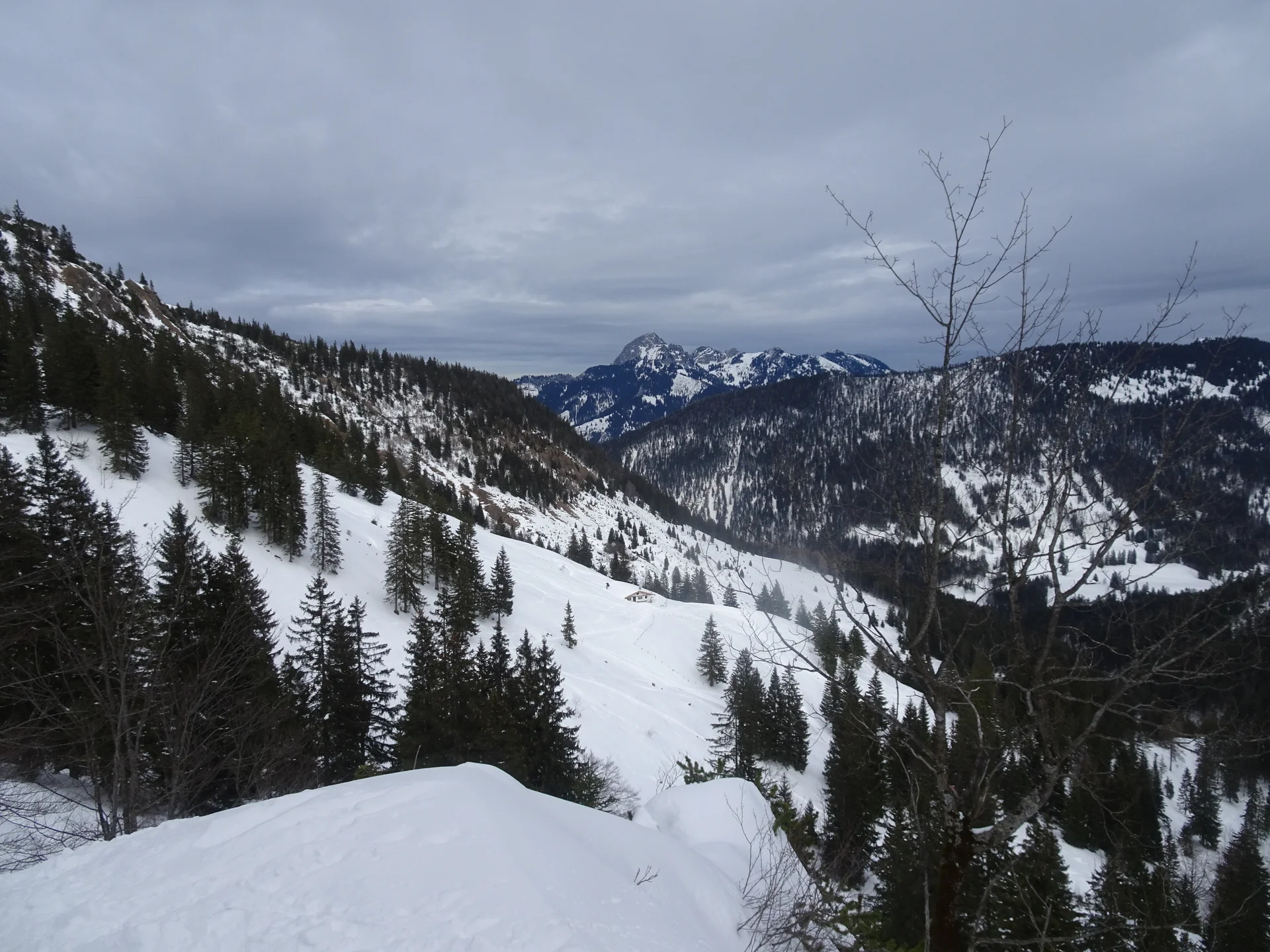 Blick über die Weite zur Schellenbergalm, hinten Wendelstein | © Markus Hammer