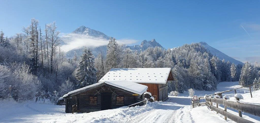Saloberalm, Aggenstein | © Christine Steininger, privat