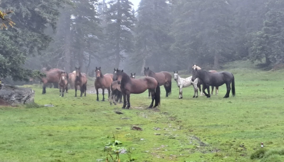 Begegnungen | © C.Ammann