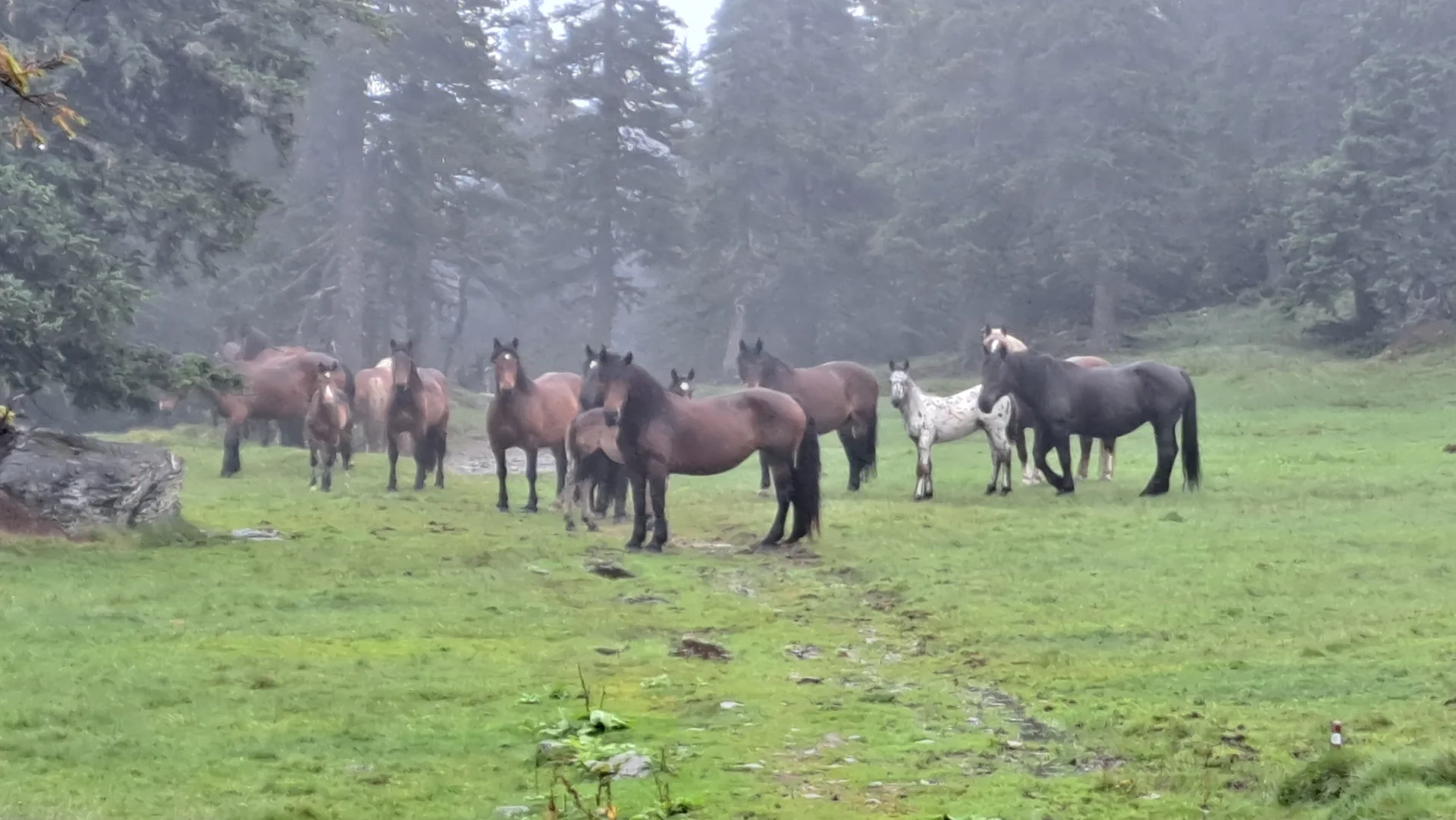 Begegnungen | © C.Ammann