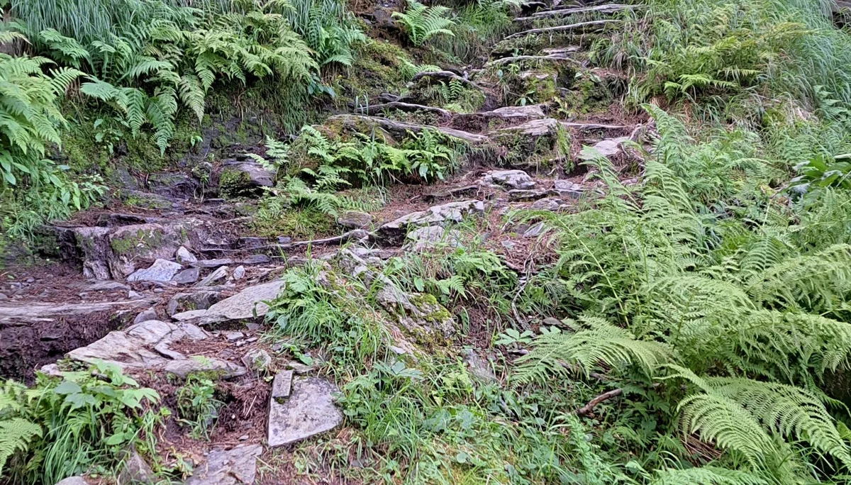 Rauriser Urwald | © C.Ammann