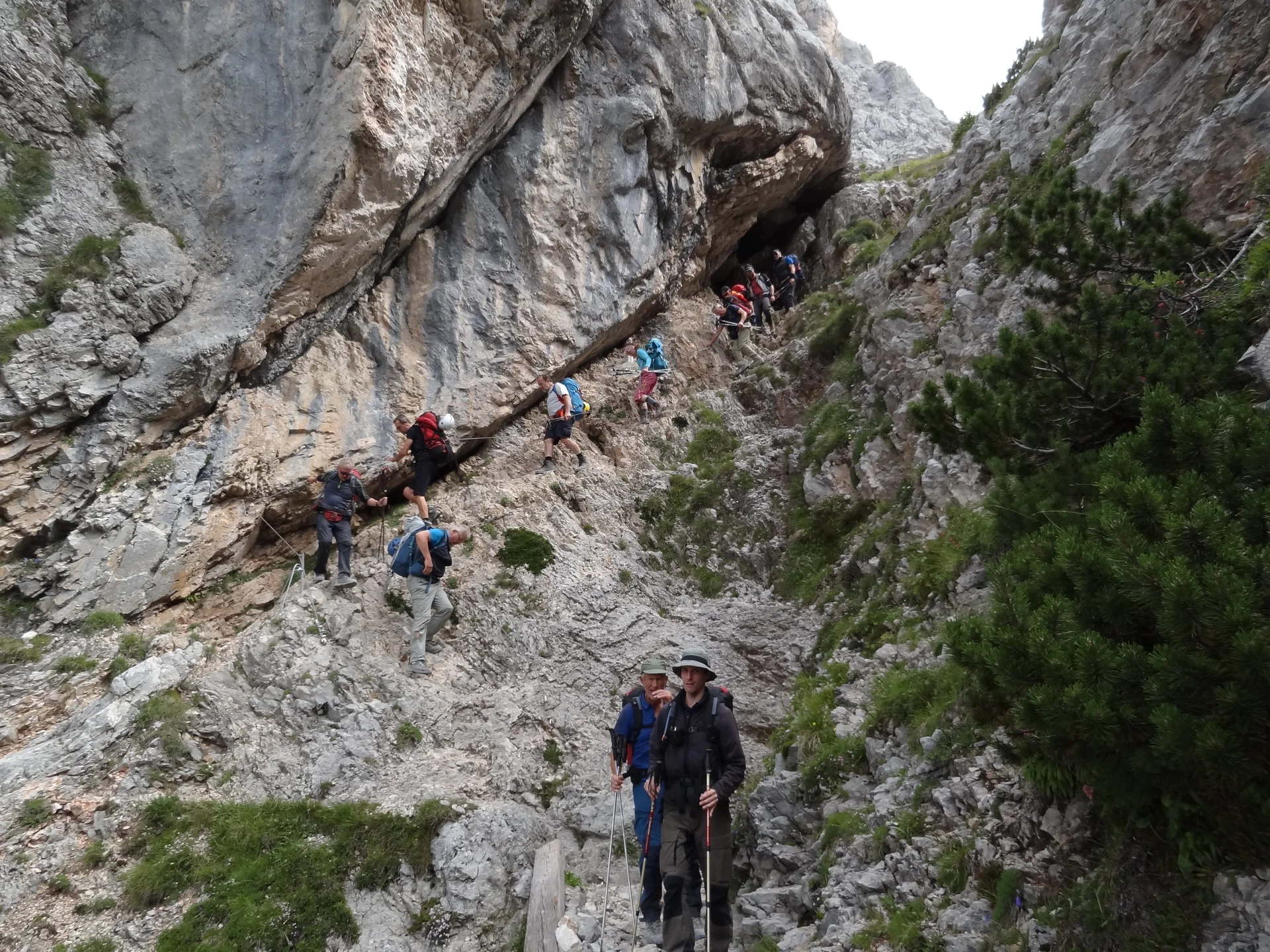 Brenta | © W.Schweinberger