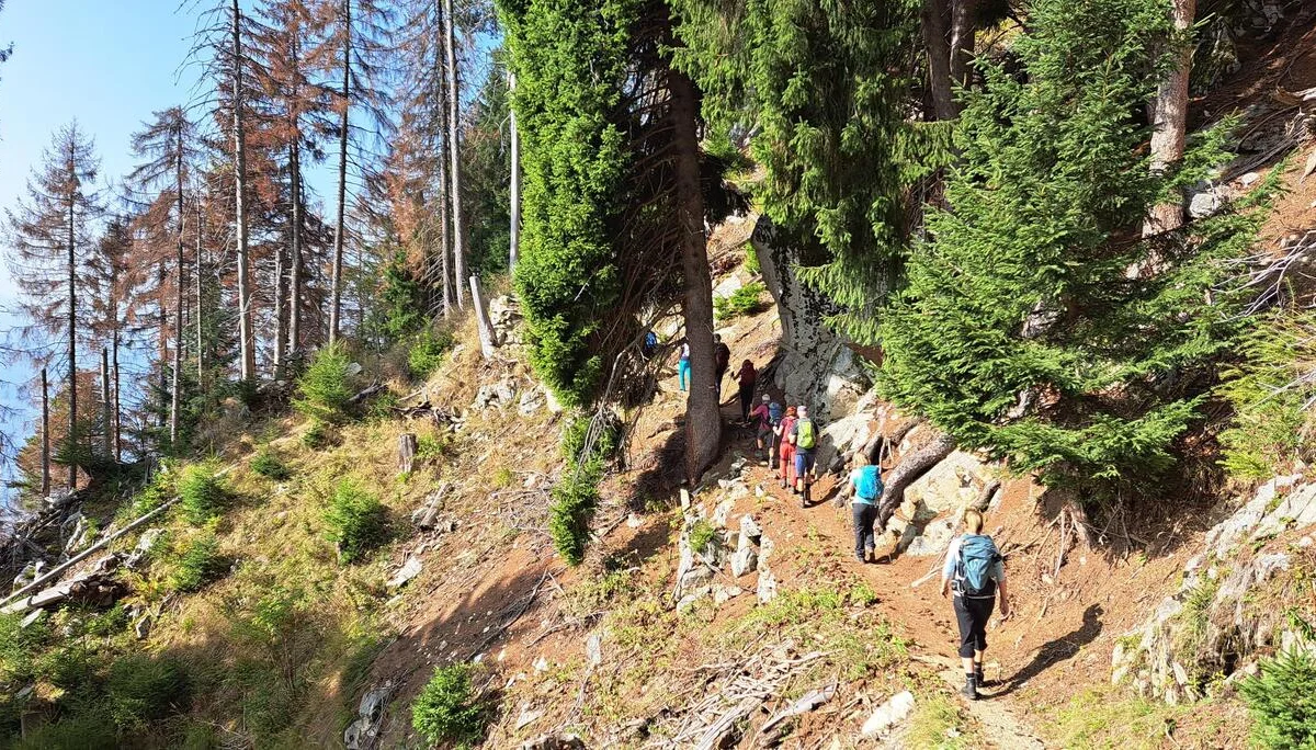 2 Aufstieg zur Lawand | © C. Ammann