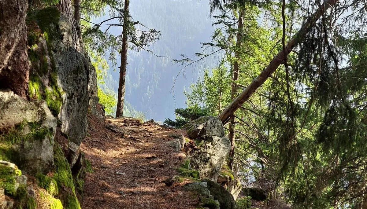 2 Waldbaden | © C. Ammann