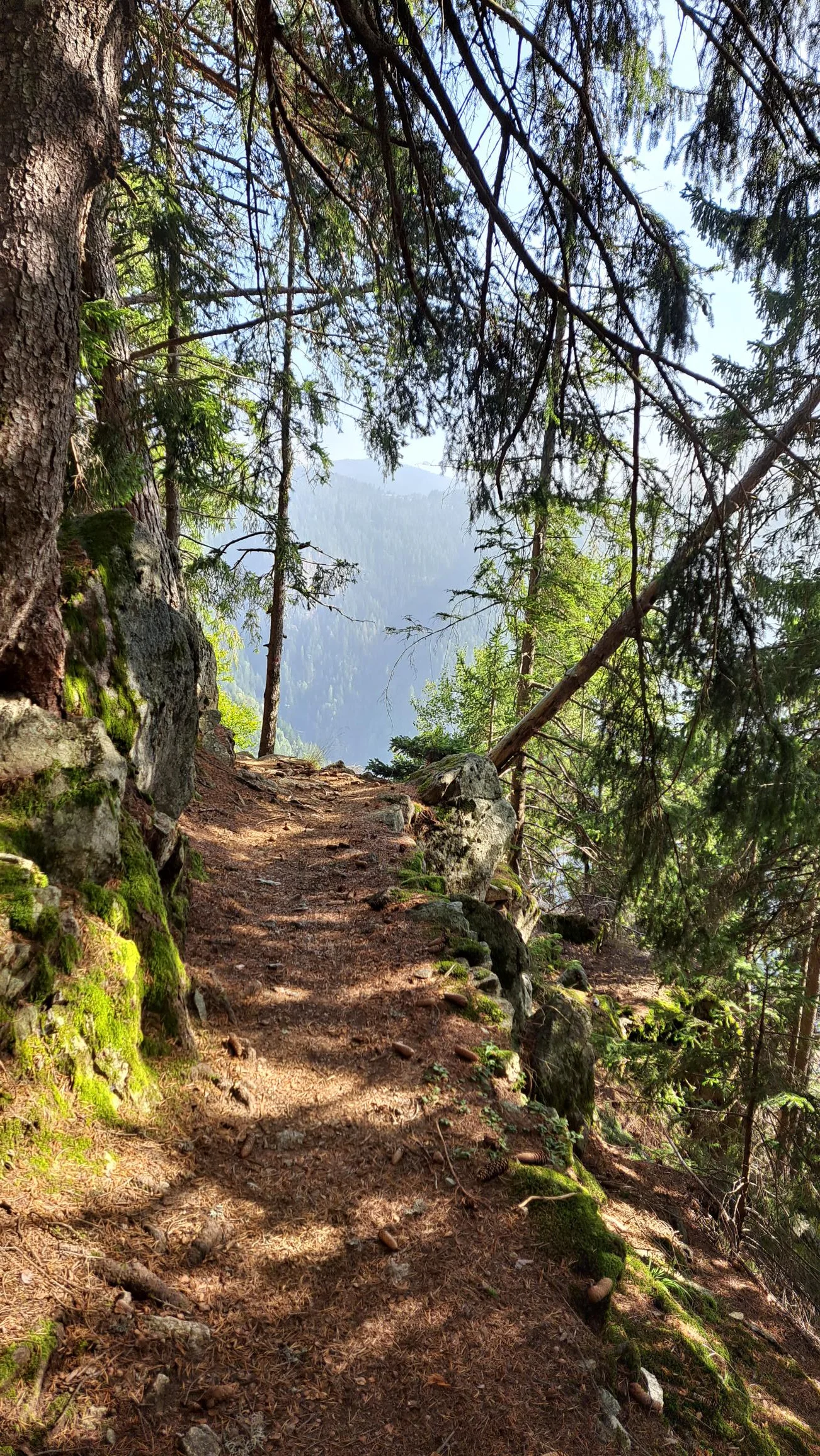 2 Waldbaden | © C. Ammann