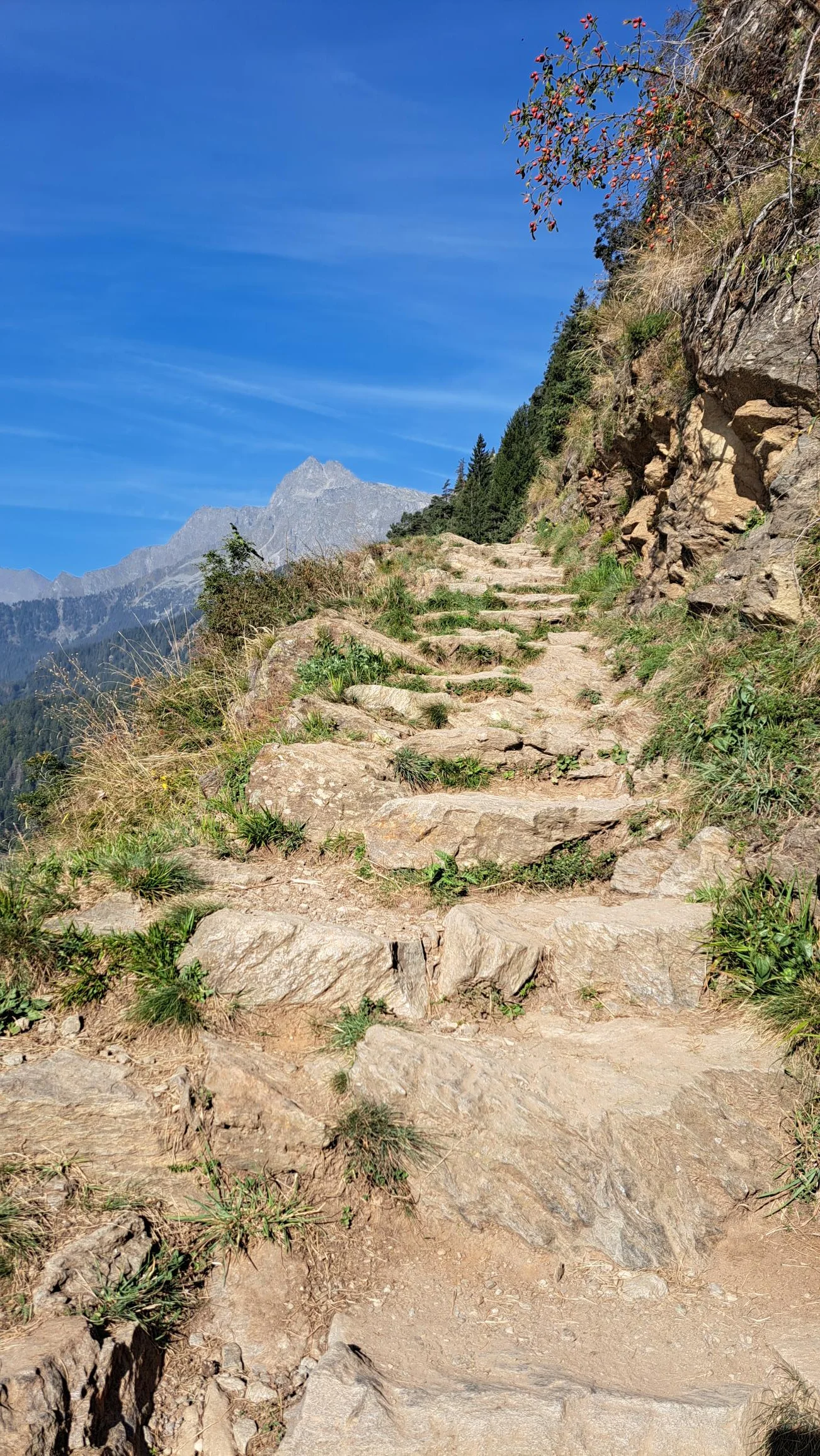 3 Am Felsenweg | © C. Ammann