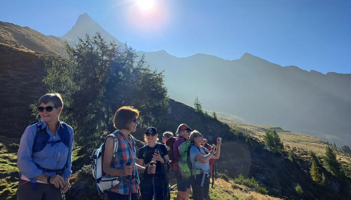 4 Almweg unter dem Hirzer | © C. Ammann