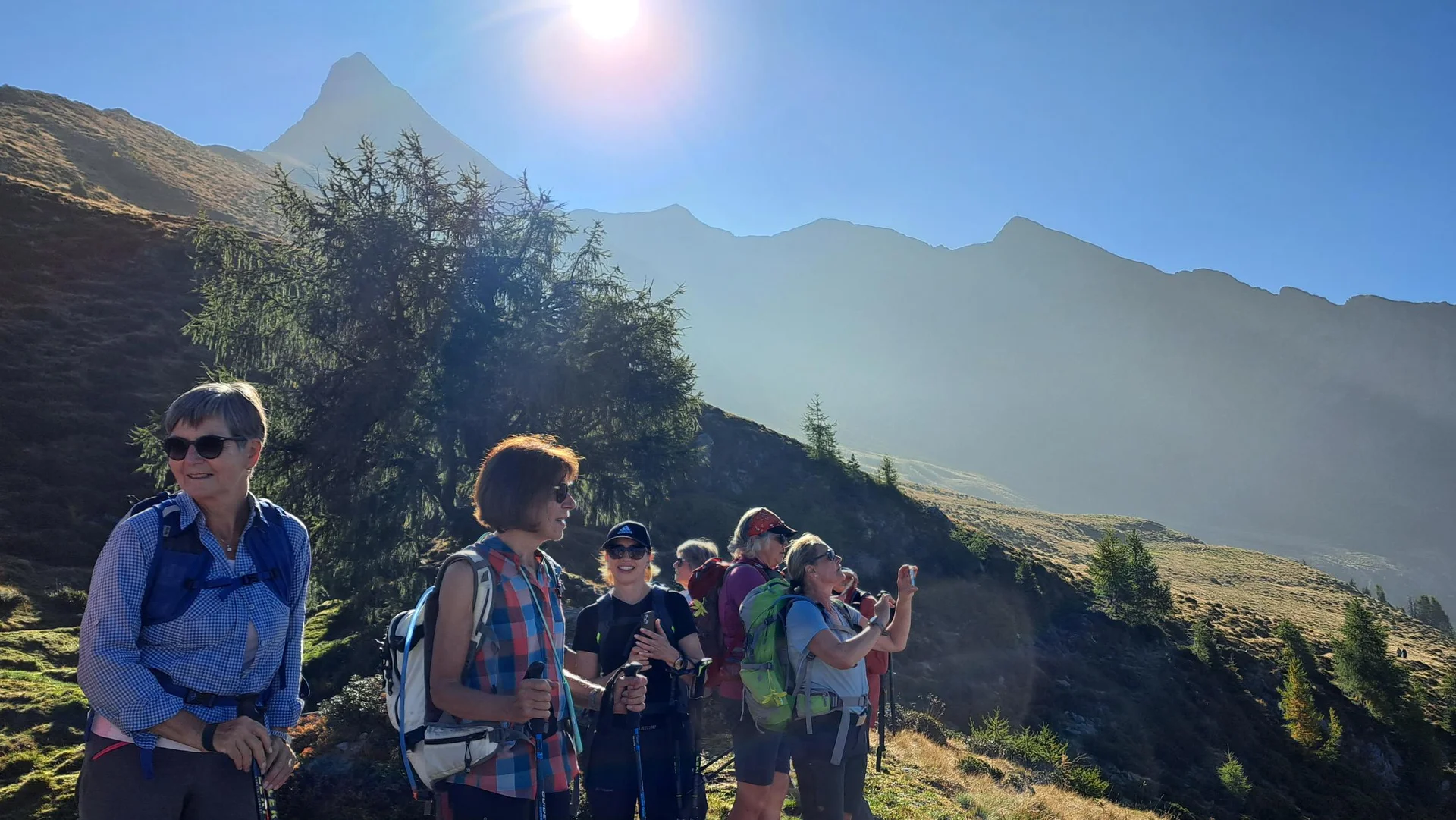 4 Almweg unter dem Hirzer | © C. Ammann