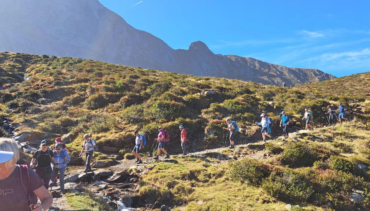 4 Almweg-Runde | © C. Ammann