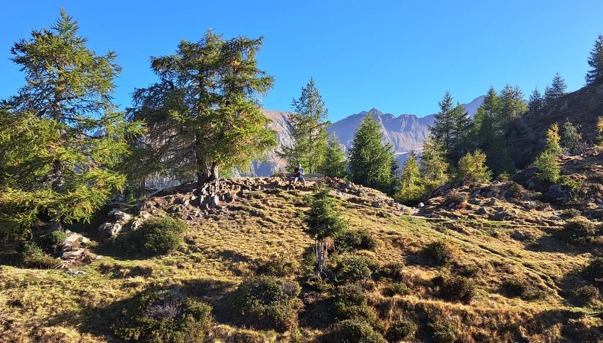 4 an der Almweg-Runde | © C. Ammann