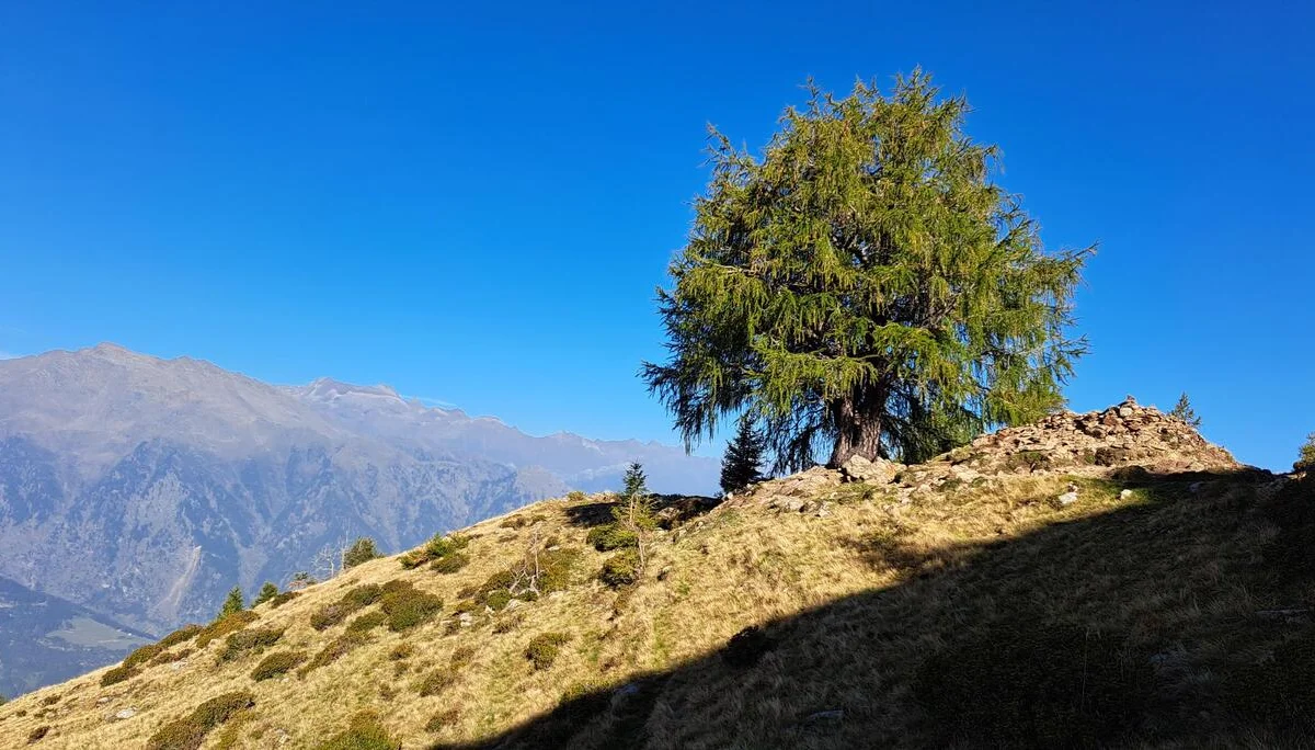 4 Blick in die Texelgruppe | © C. Ammann