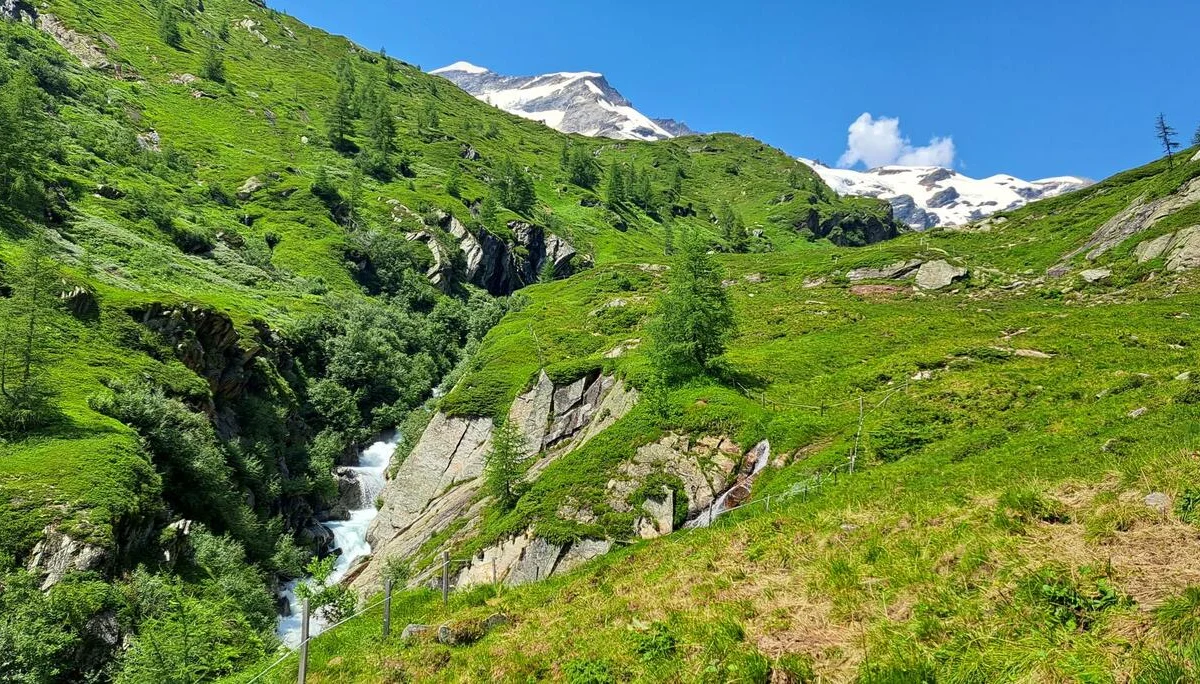 am Aufstieg zur Essener-Rostocker-Hütte | © C.Ammann