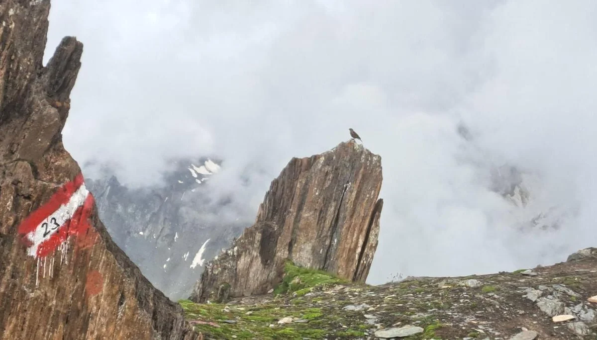 zum Abstieg Sajathütte | © C.Ammann