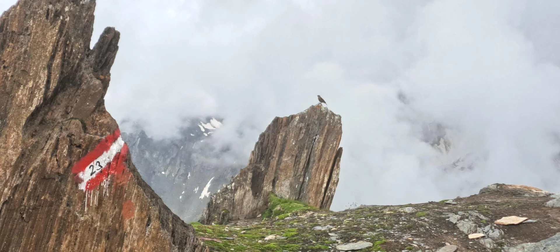 zum Abstieg Sajathütte | © C.Ammann