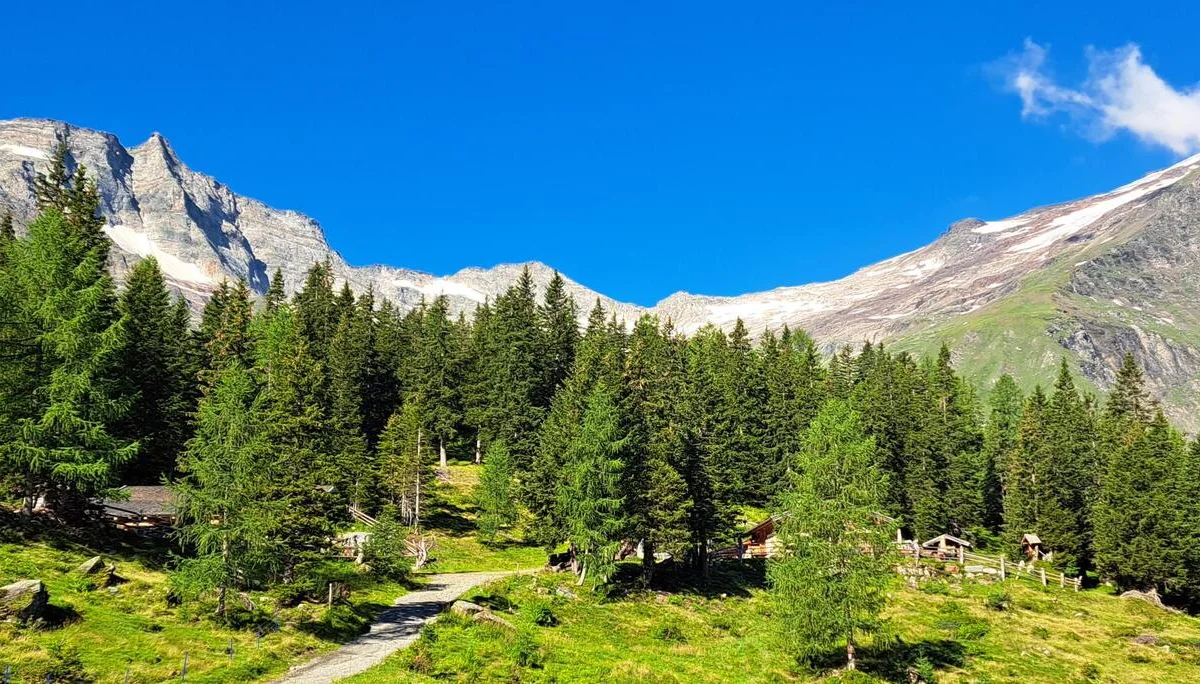 Hochebene nach dem Rauriser Urwald | © C. Ammann