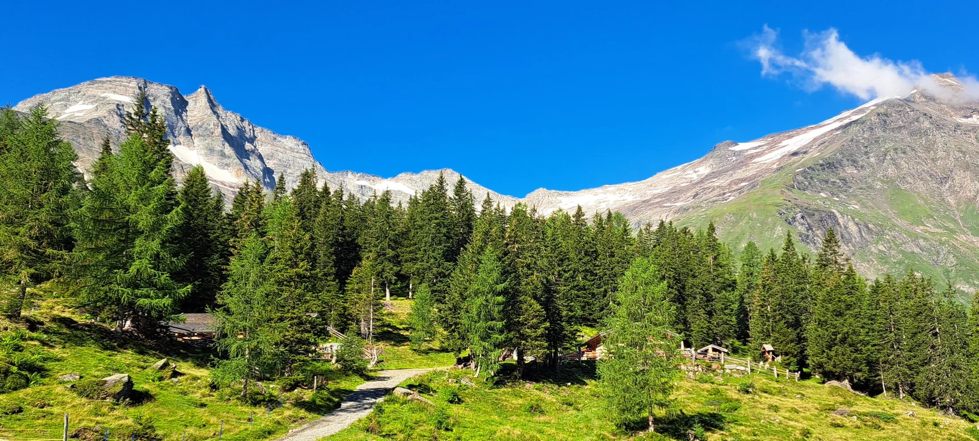 Hochebene nach dem Rauriser Urwald | © C. Ammann