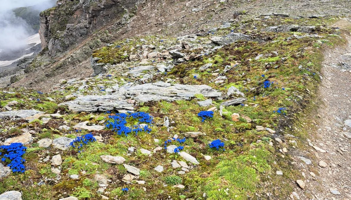 nach dem Steilstück | © C. Ammann