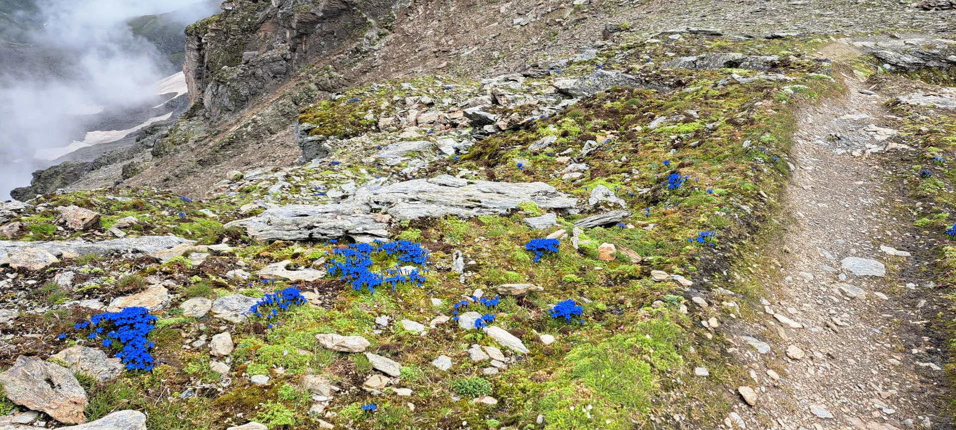 nach dem Steilstück | © C. Ammann