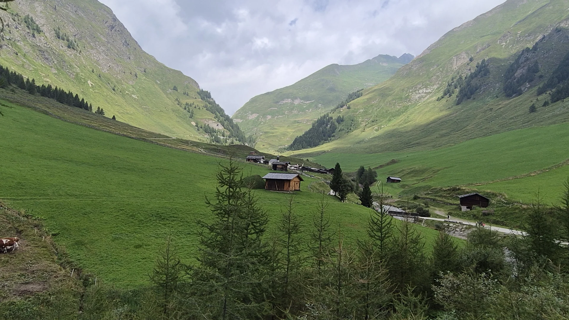 Fane-Alm | © Anni Roser