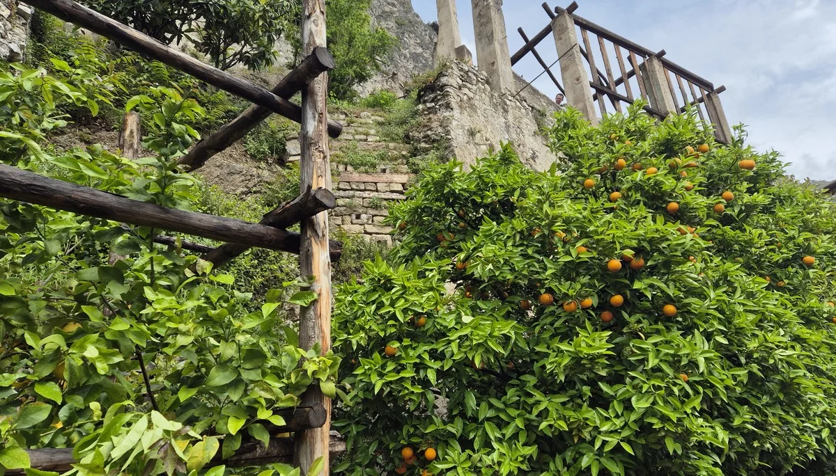 In der Limonaia del  Castel in Limone | © Anni Roser