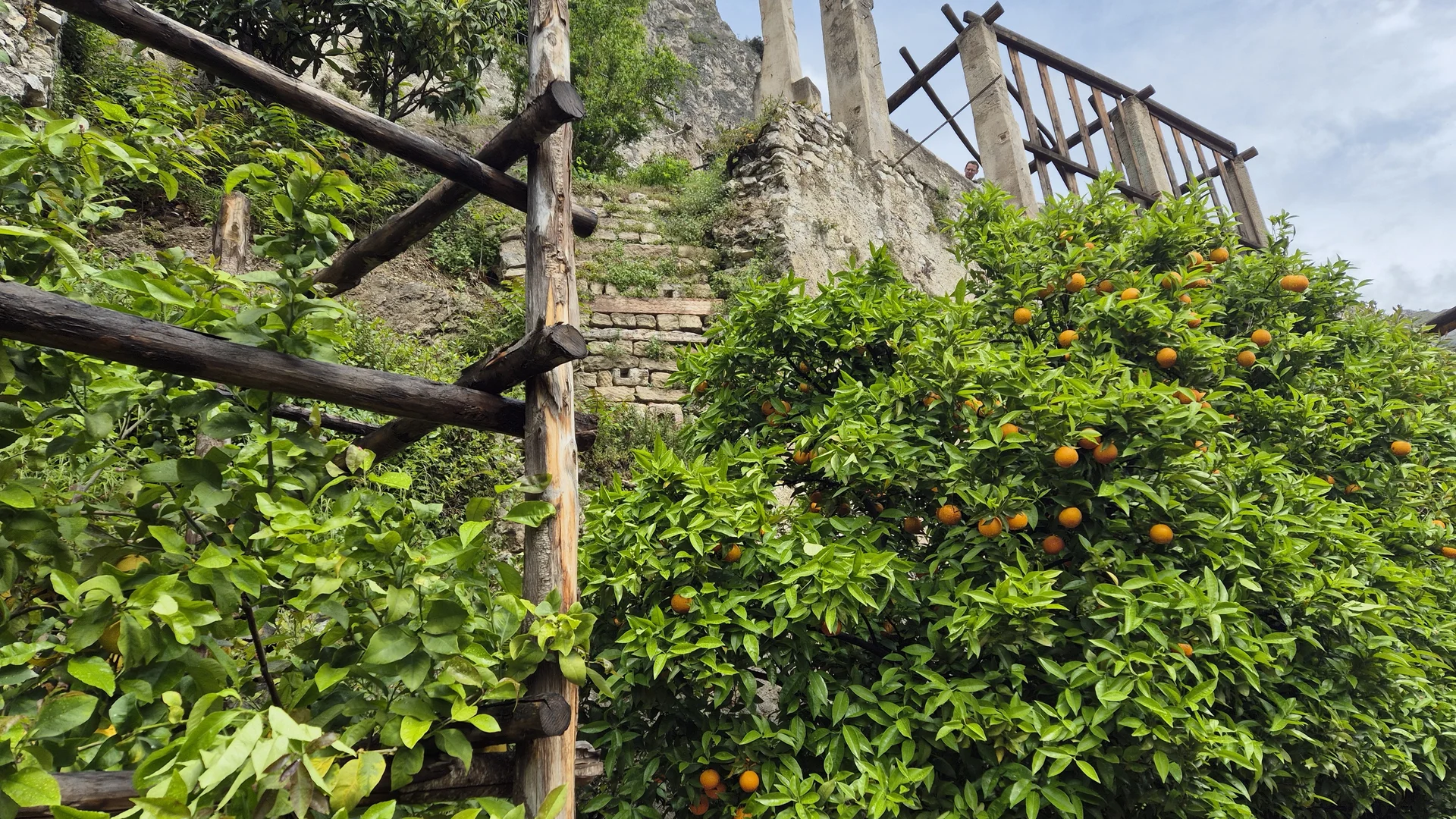 In der Limonaia del  Castel in Limone | © Anni Roser