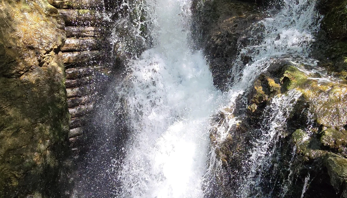Staumauer aus alten Holzstämmen | © Manfred Gröbner