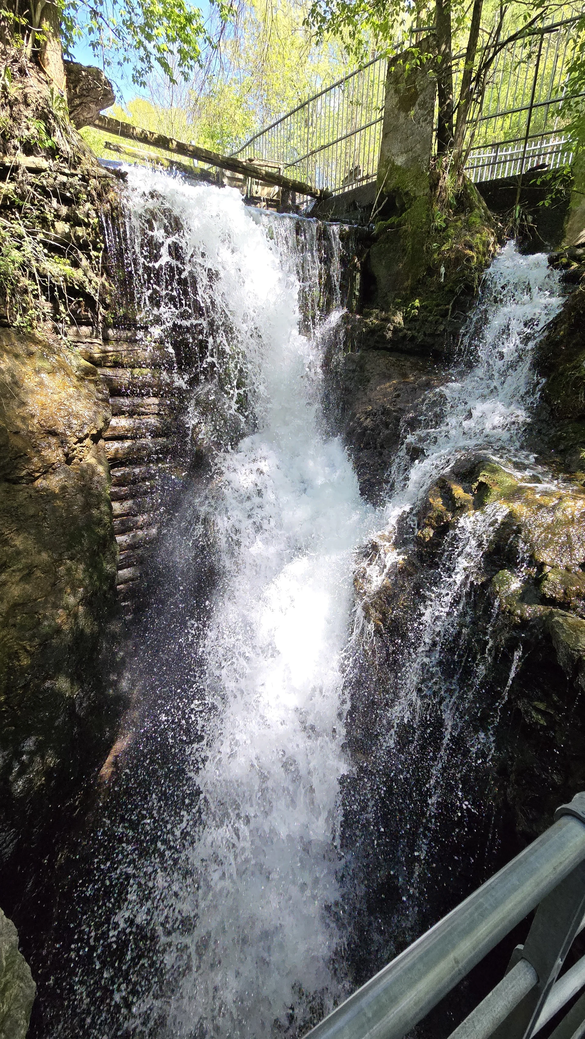 Staumauer aus alten Holzstämmen | © Manfred Gröbner