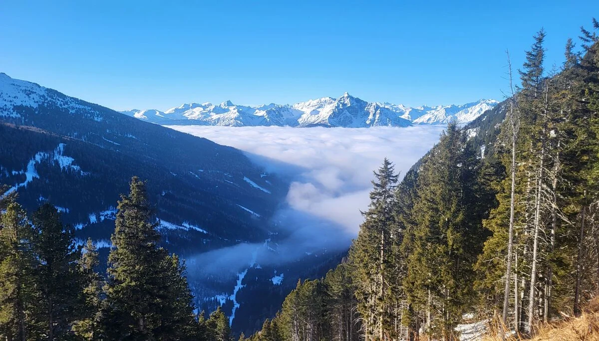 Oberhalb Boscheben | © Markus Hammer