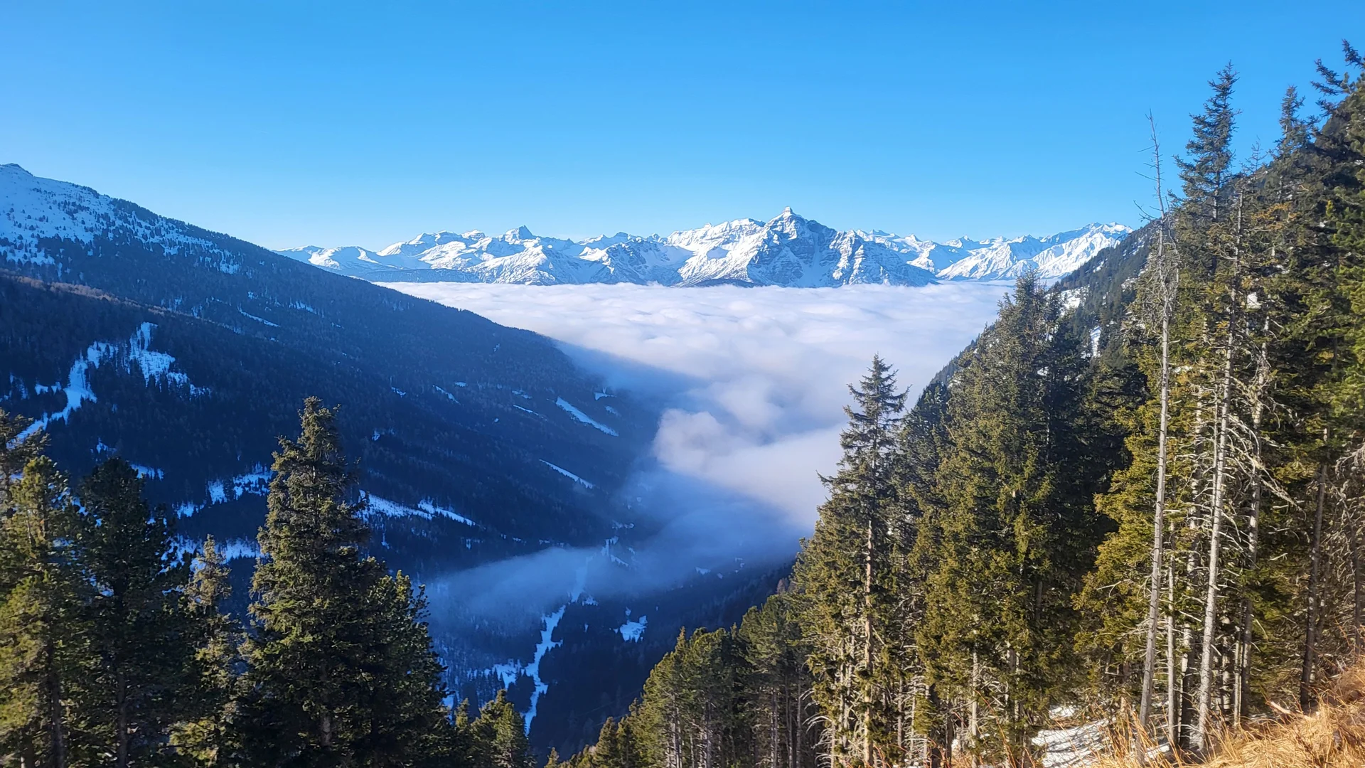 Oberhalb Boscheben | © Markus Hammer