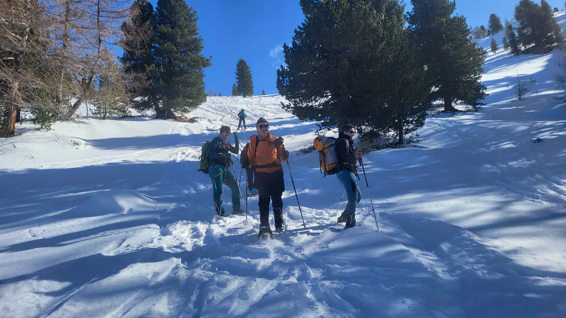 Abstieg zur Profiglalm | © Markus Hammer