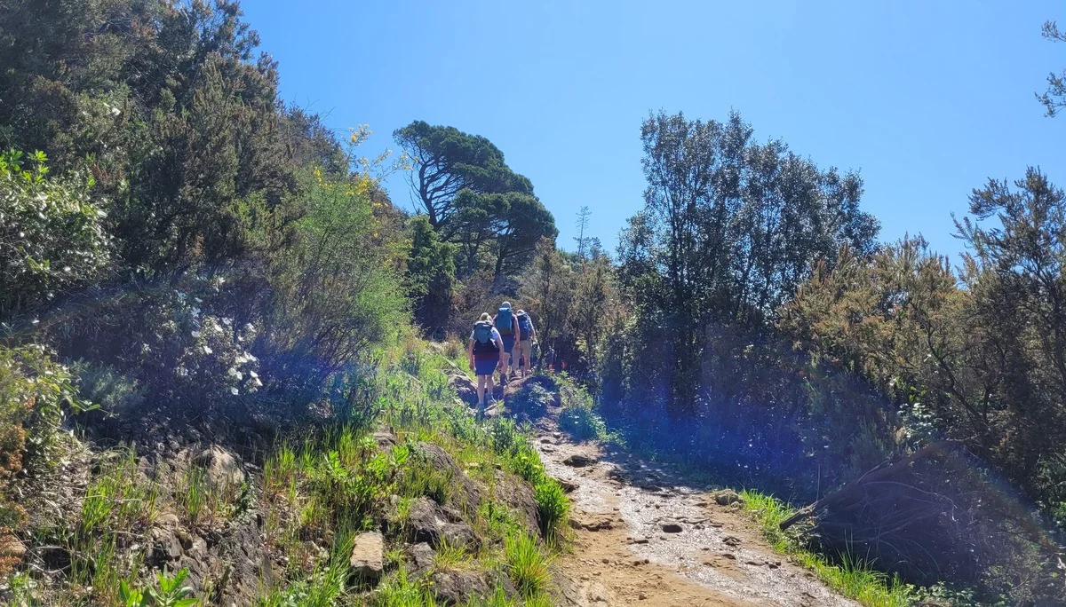 wieder geht es hoch zur ersten Perle der  Chinque Terre | © privat
