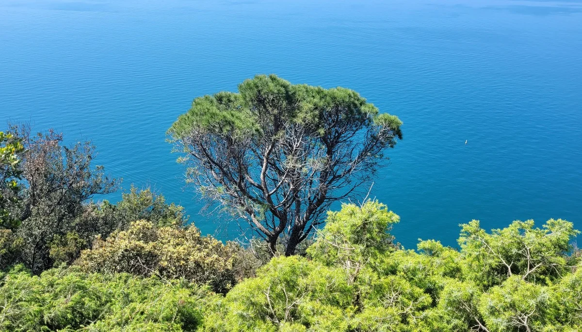 Traumhafte Ausblicke | © privat