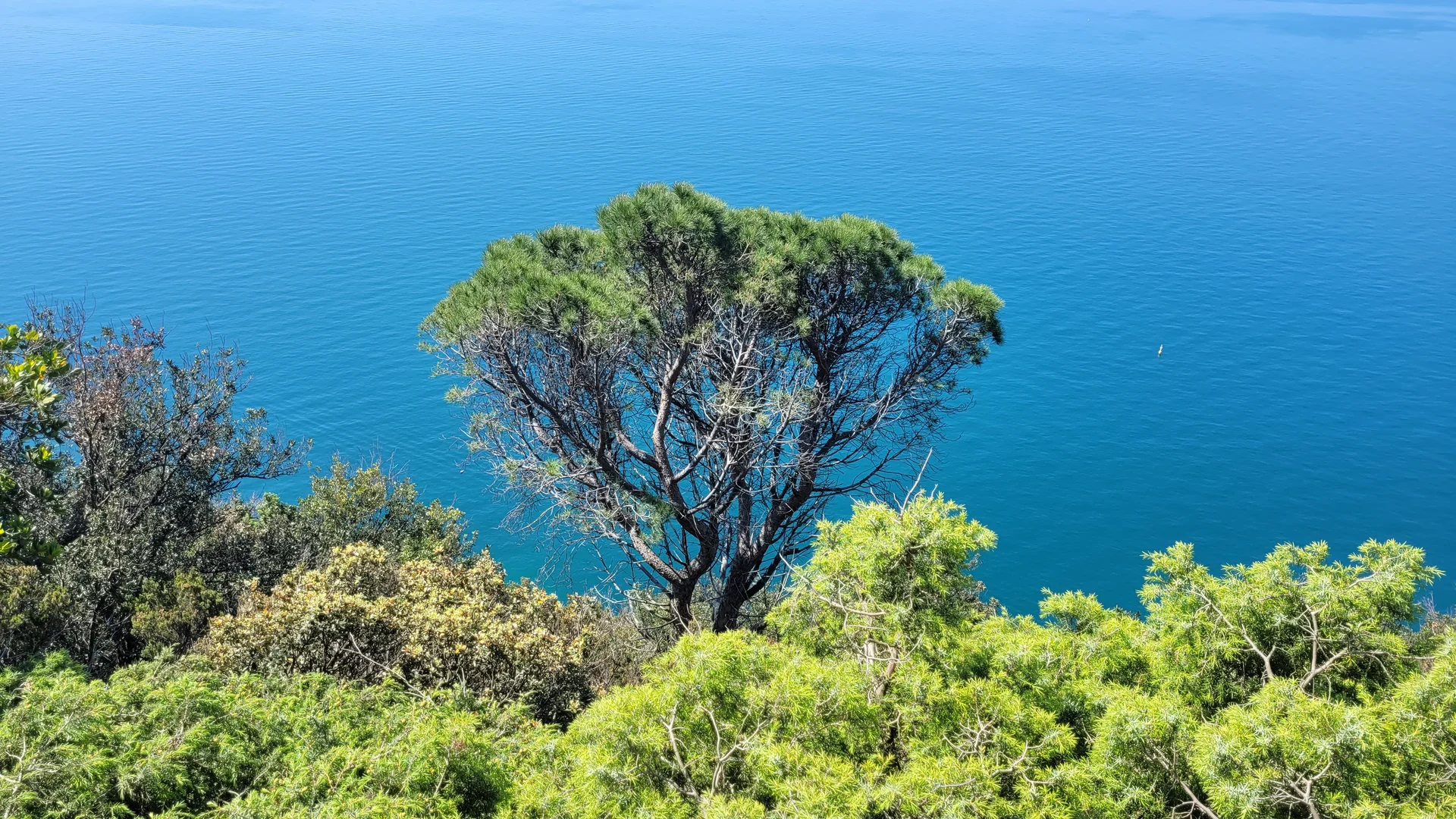 Traumhafte Ausblicke | © privat