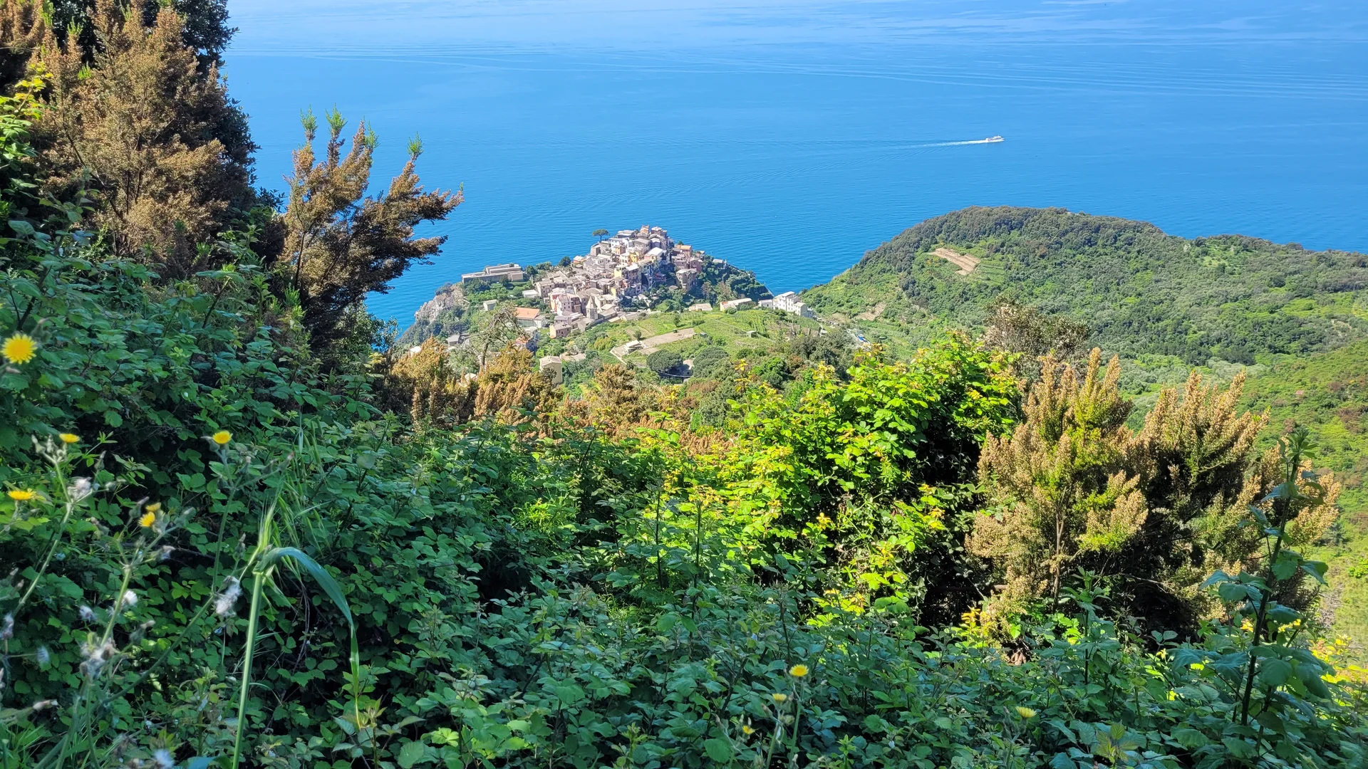 Rückblick auf Corniglia | © privat