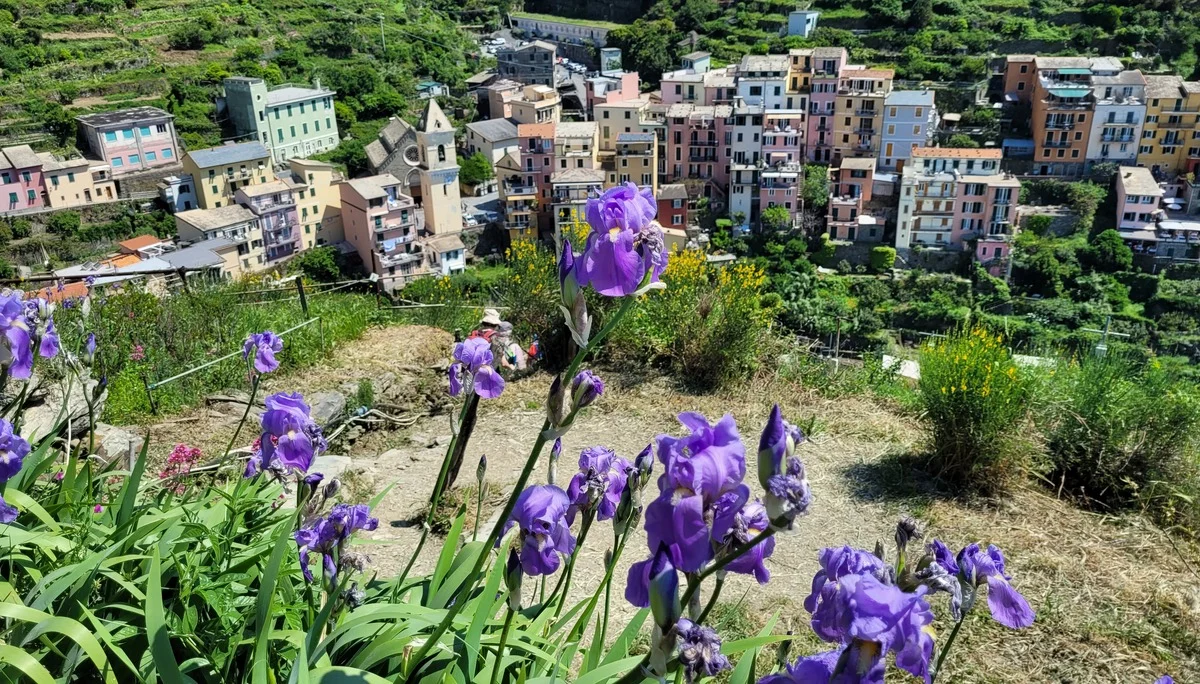 Manarola | © privat