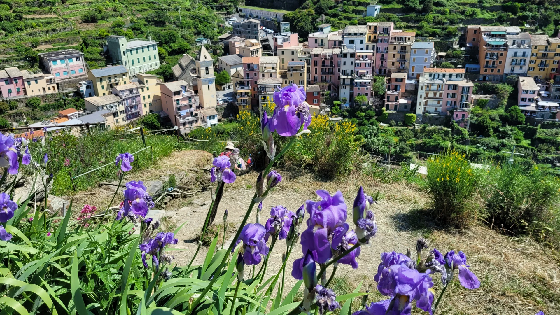 Manarola | © privat