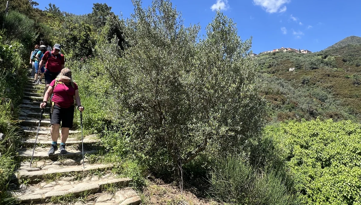 Abstieg Manarola | © privat