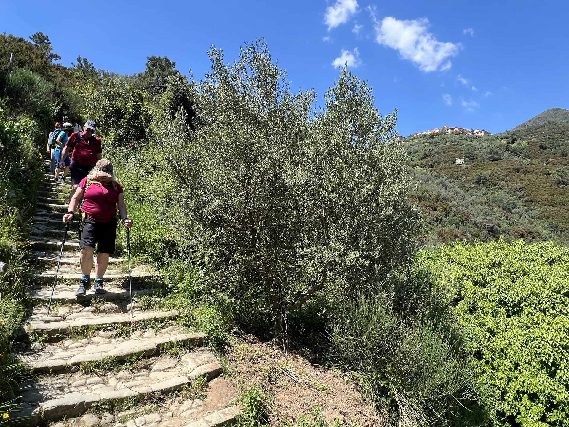 Abstieg Manarola | © privat