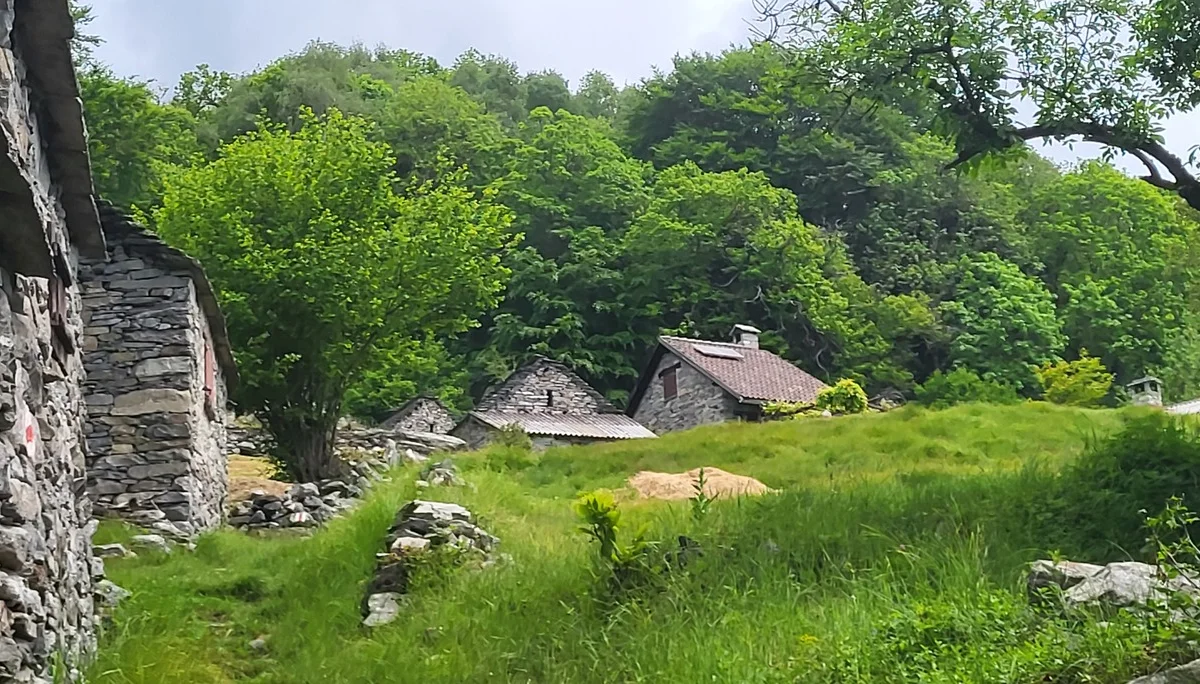 Neues Leben in verlassenen Dörfern | © Markus H.