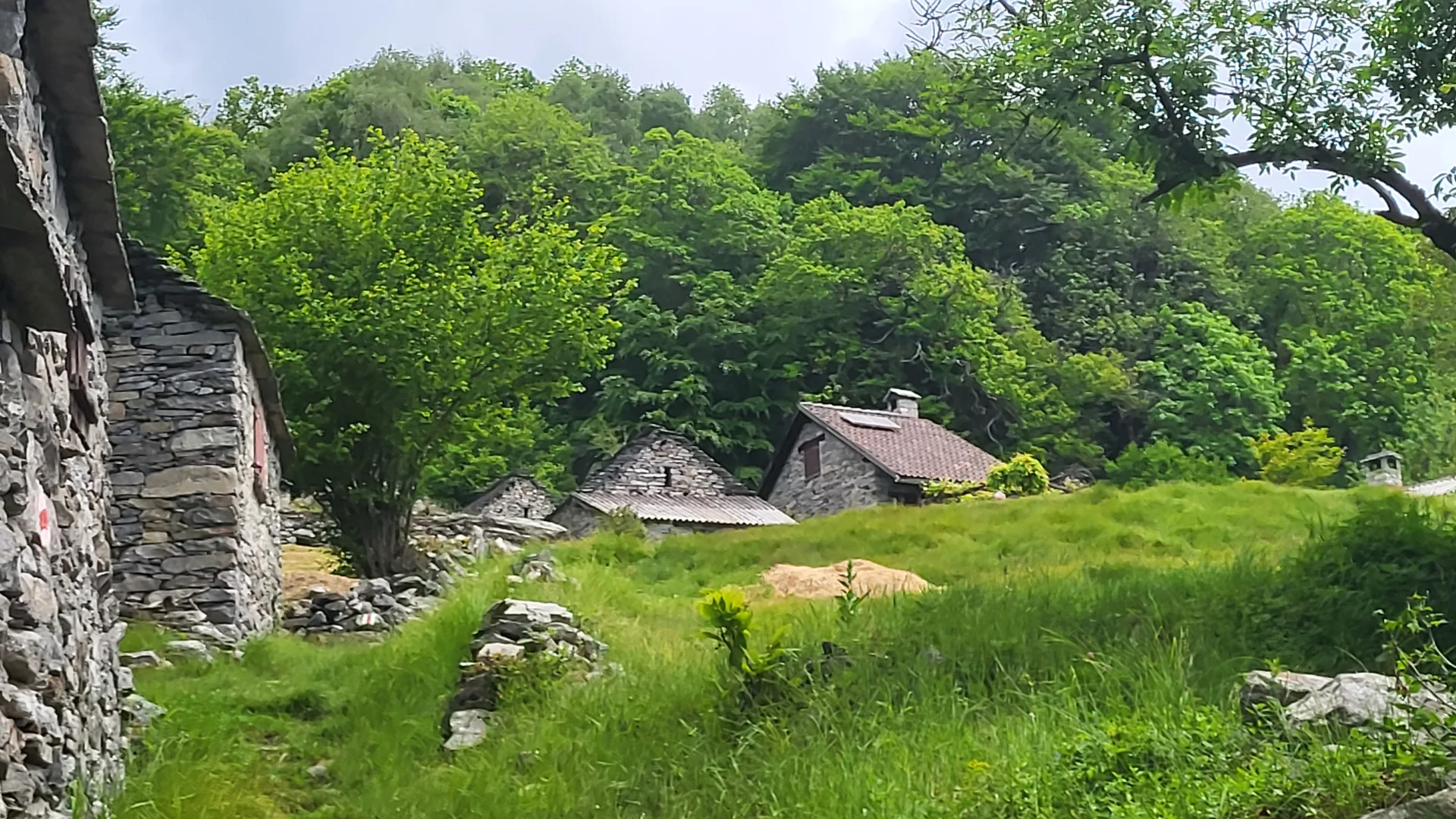 Neues Leben in verlassenen Dörfern | © Markus H.