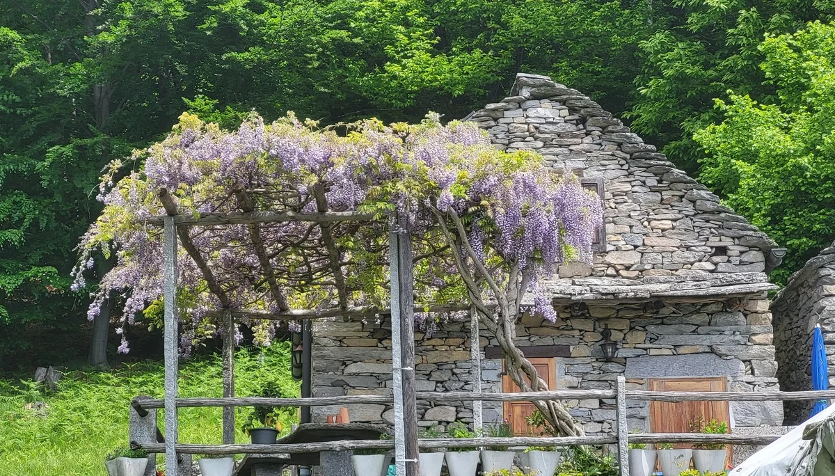 Hinter´m Gipfel | © Markus H.