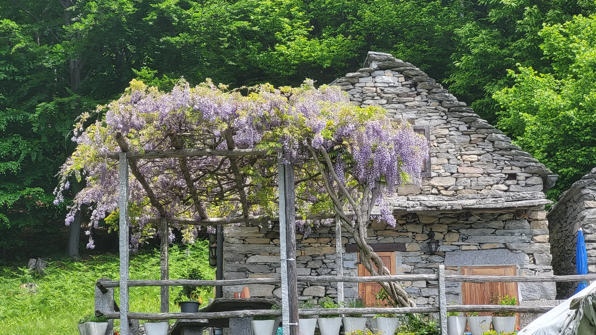 Hinter´m Gipfel | © Markus H.