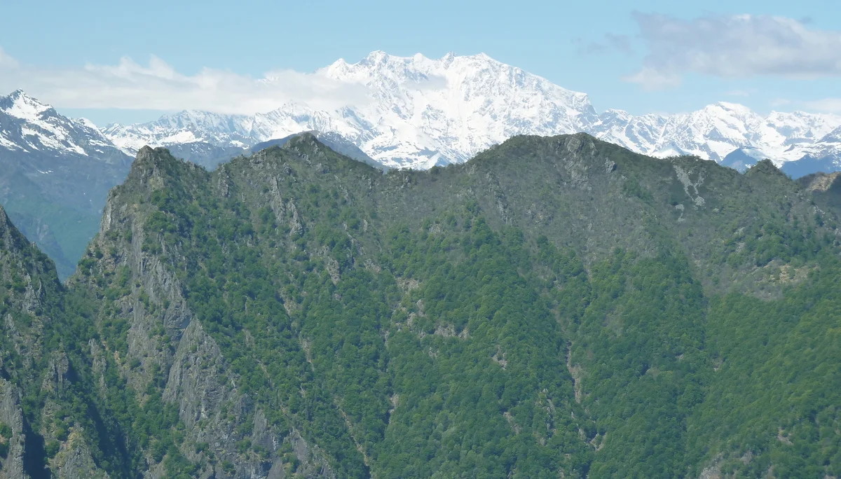 Blick auf Monte Rosa | © Steck