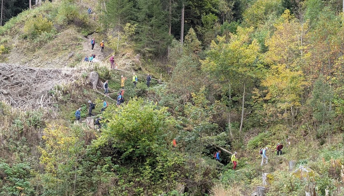 Weg zur Ruine Reifenegg | © Andreas Tremmel