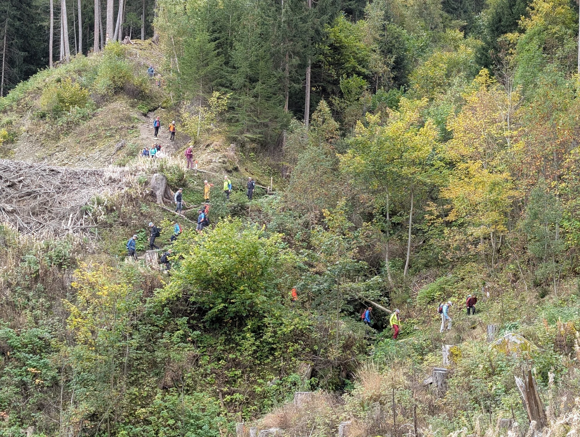 Weg zur Ruine Reifenegg | © Andreas Tremmel