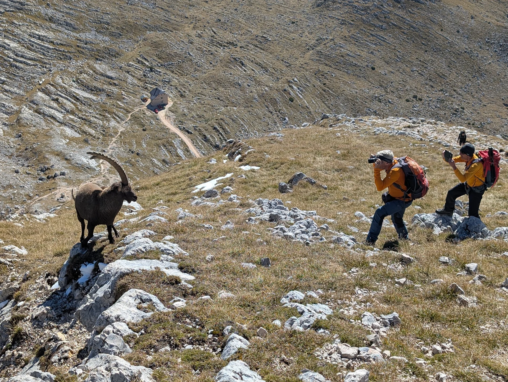Steinbock-Fotoshooting | © Andreas T.